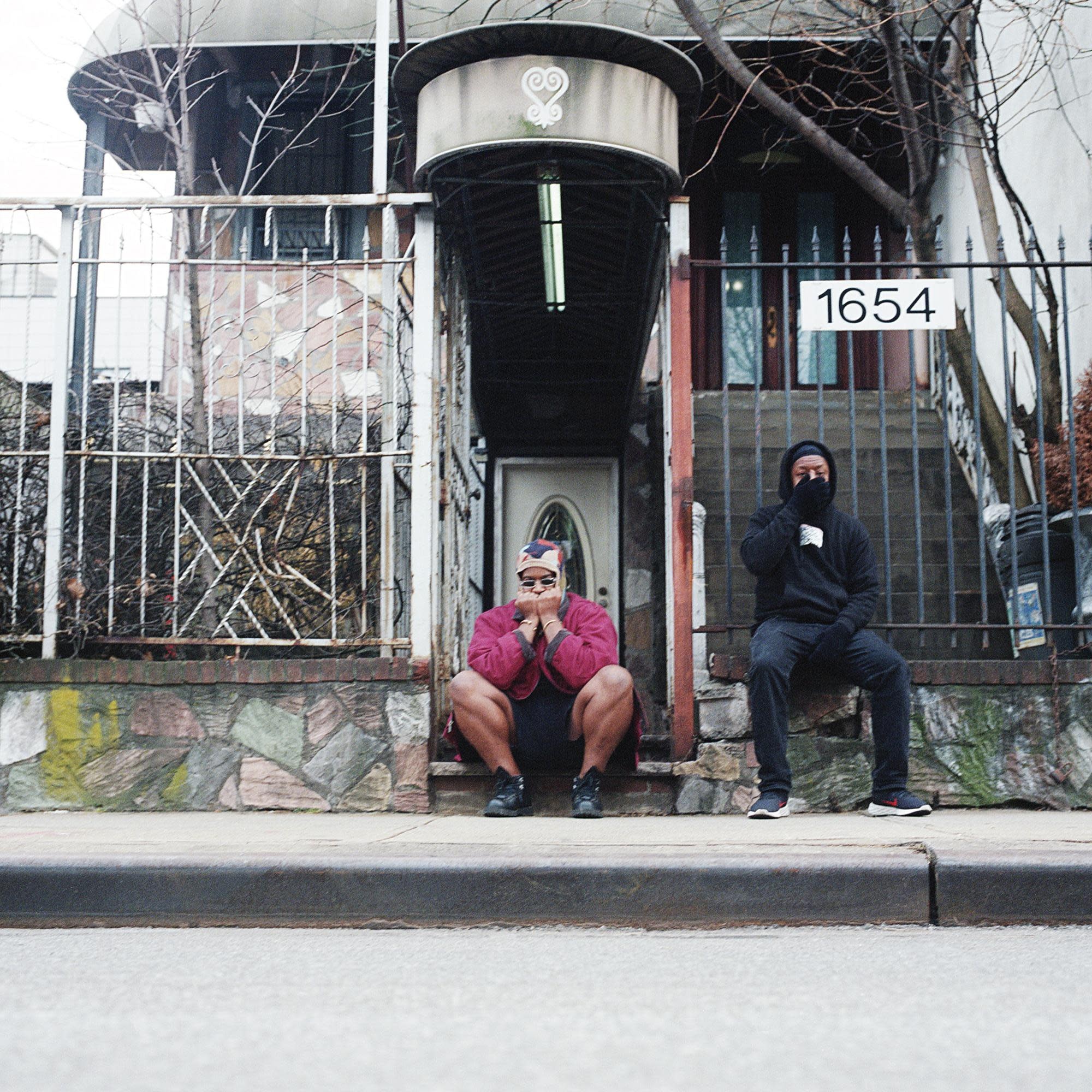 Fat Possum Records Armand Hammer - We Buy Diabetic Test Strips (Grape Vinyl) w/Bumper Sticker