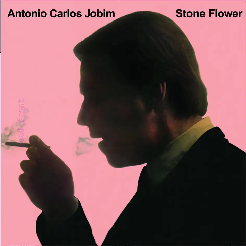 Endless Happiness Antonio Carlos Jobim - Stone Flower