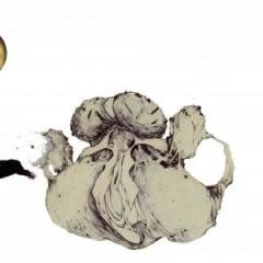 Important Records Coil - The Ape Of Naples