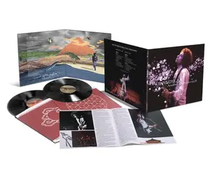 Bob Dylan - Another Budokan 1978 | STRANGER THAN PARADISE RECORDS