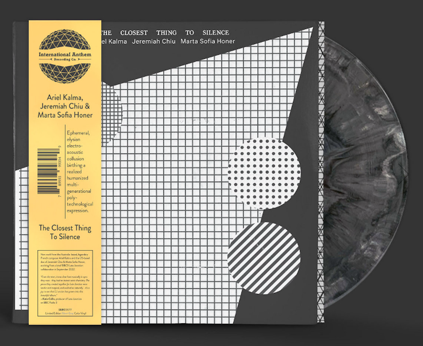 International Anthem Ariel Kalma, Jeremiah Chiu & Marta Sofia Honer - The Closest Thing To Silence (Grey Vinyl)