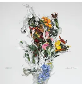 Thrill Jockey Big / Brave - A Chaos of Flowers