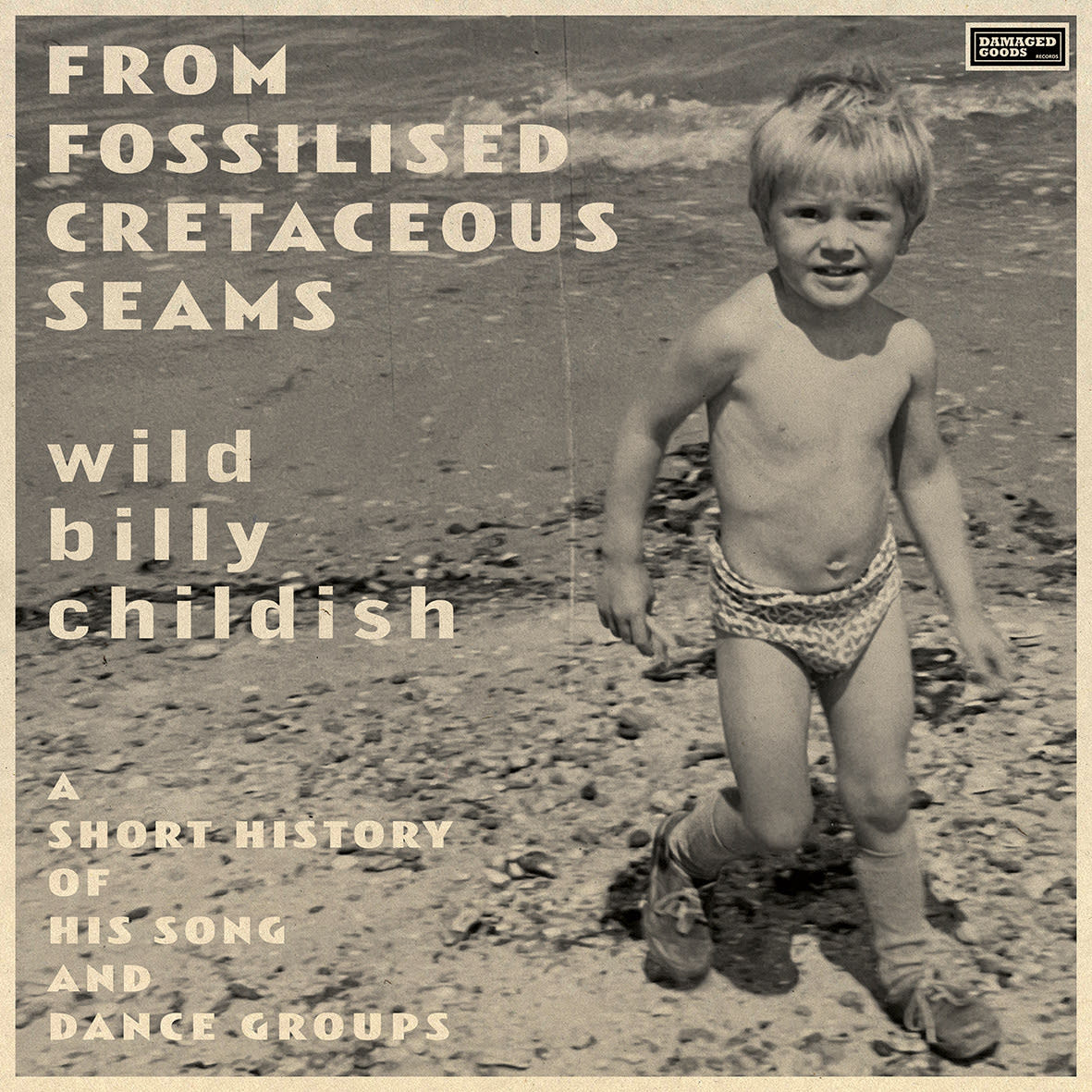 Damaged Goods Records Wild Billy Childish - From Fossilised Cretaceous Seams: A Short History of His Song and Dance Groups