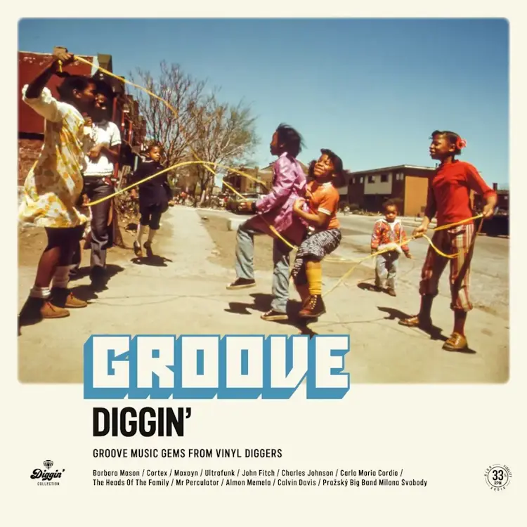 Wagram Music Various - Groove Diggin'