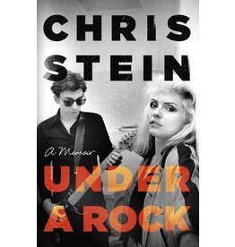 Little Brown Book Group Chris Stein - Under A Rock