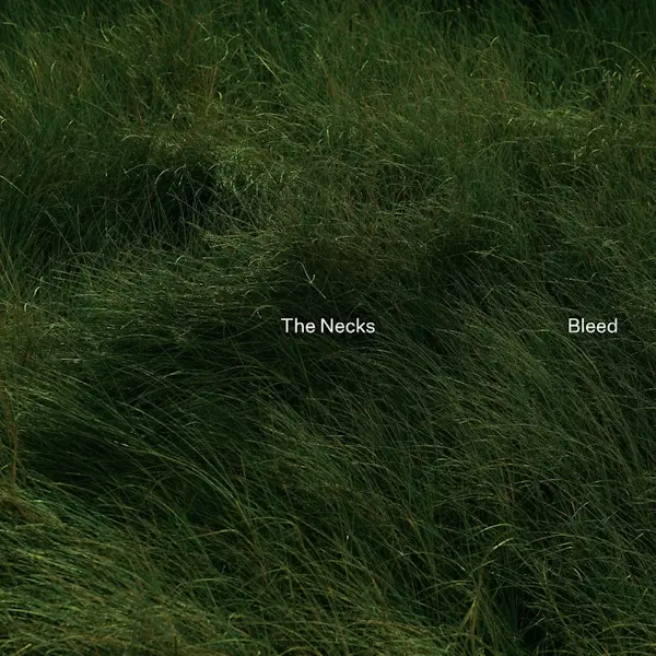 Northern Spy The Necks - Bleed