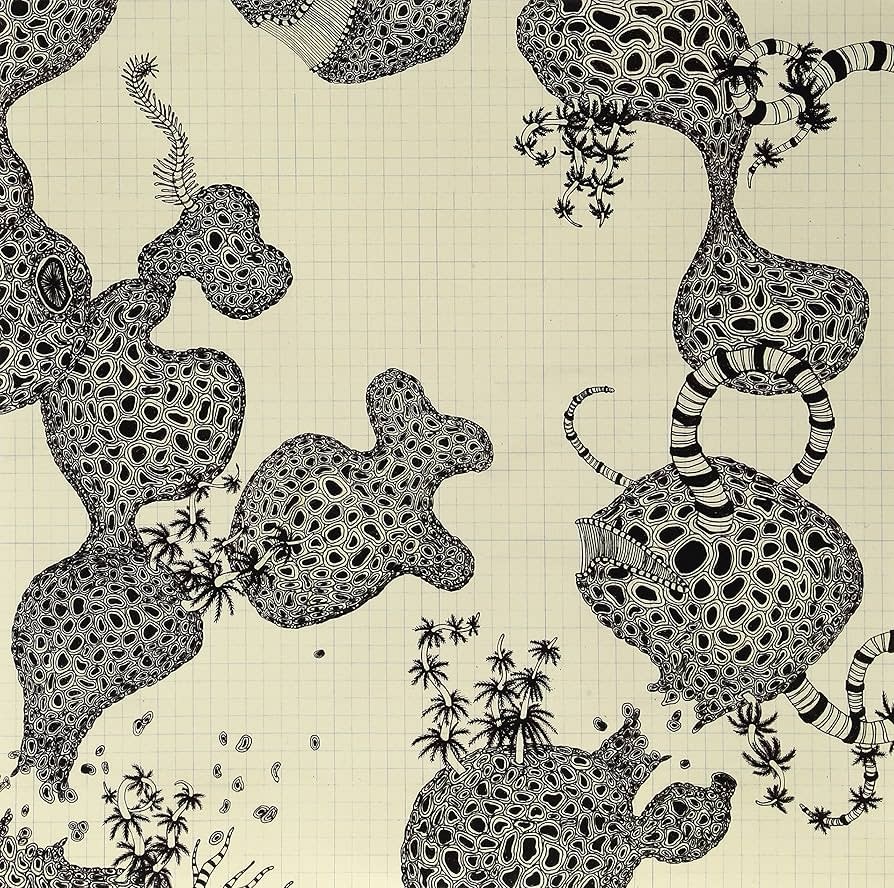 Sub Pop Records The Shins - Wincing The Night Away