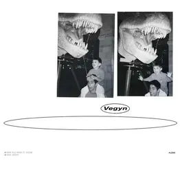 PLZ Make It Ruins Vegyn - Only Diamonds Cut Diamonds