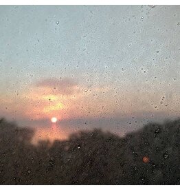 Thin Wrist Michael Morley - Pushed Streets