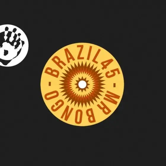 Mr Bongo Waldir Calmo - Airport Love Theme / Afro Som