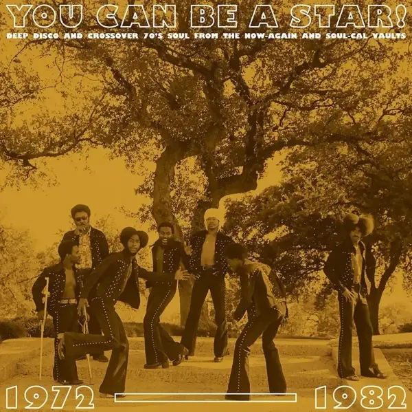 Now-Again Records Various - You Can Be A Star (Deep Disco and Soul 1972-1982)