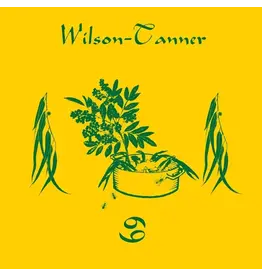 Efficient Space Wilson Tanner - 69