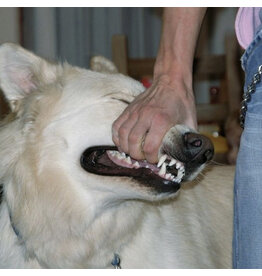 sign crushes motorist - i'll be okay (Pink Splatter Vinyl)
