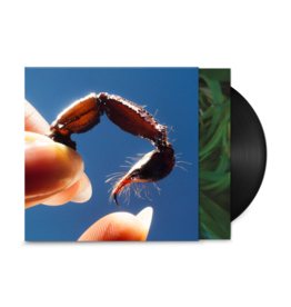 Warp Records Squid - Cowards