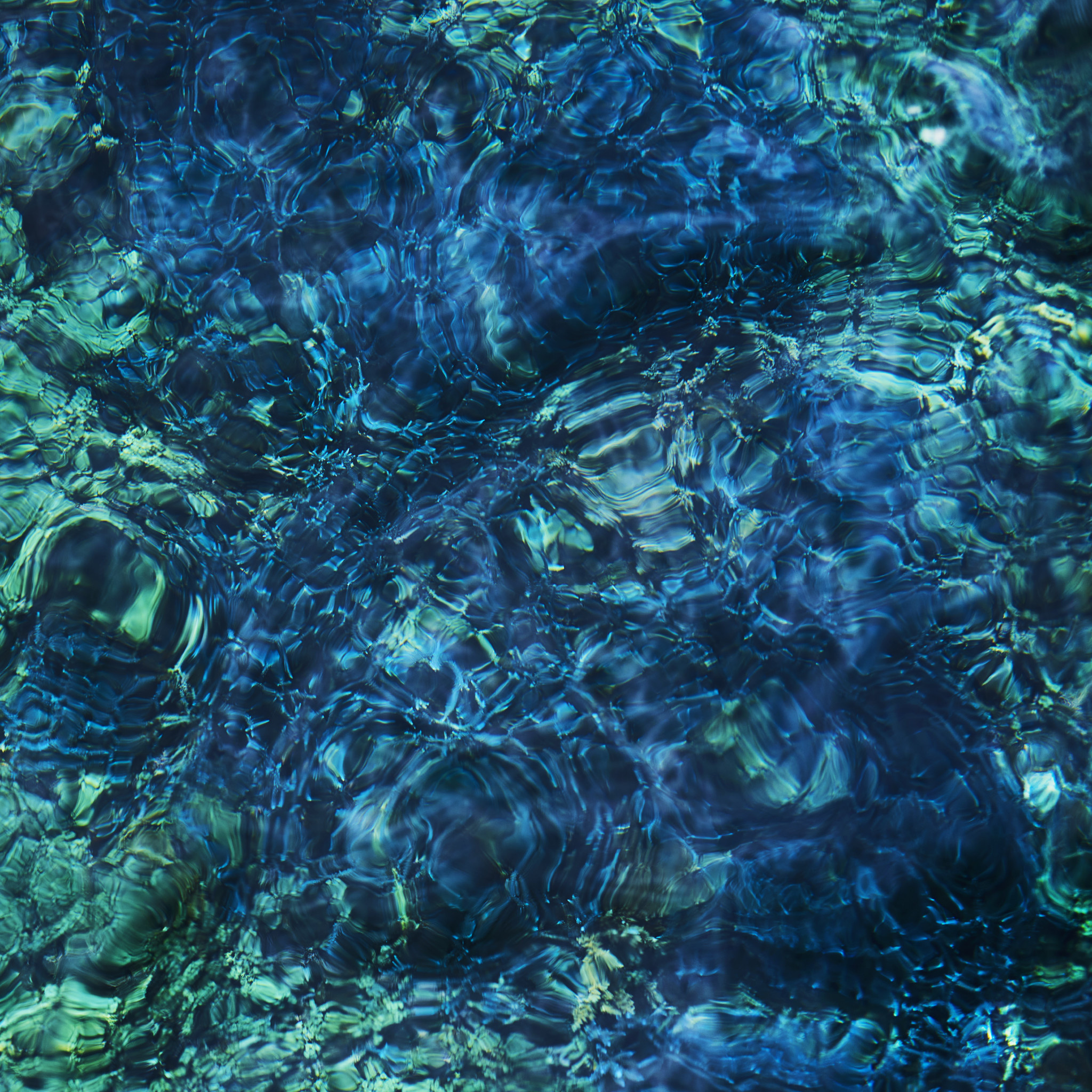 Hermine Ichiko Aoba - Luminescent Creatures