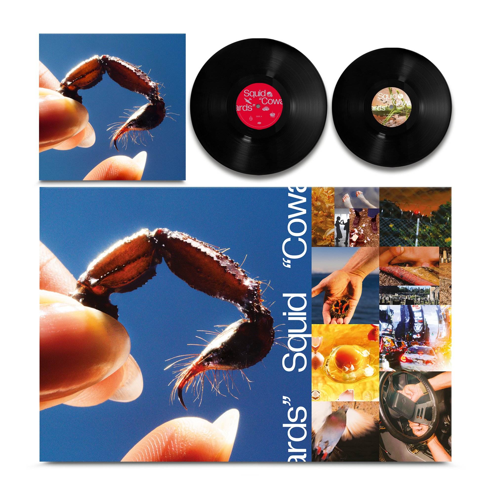 Warp Records Squid - Cowards (Limited Deluxe Edition)