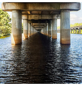 DFA Weeks Island - Droste