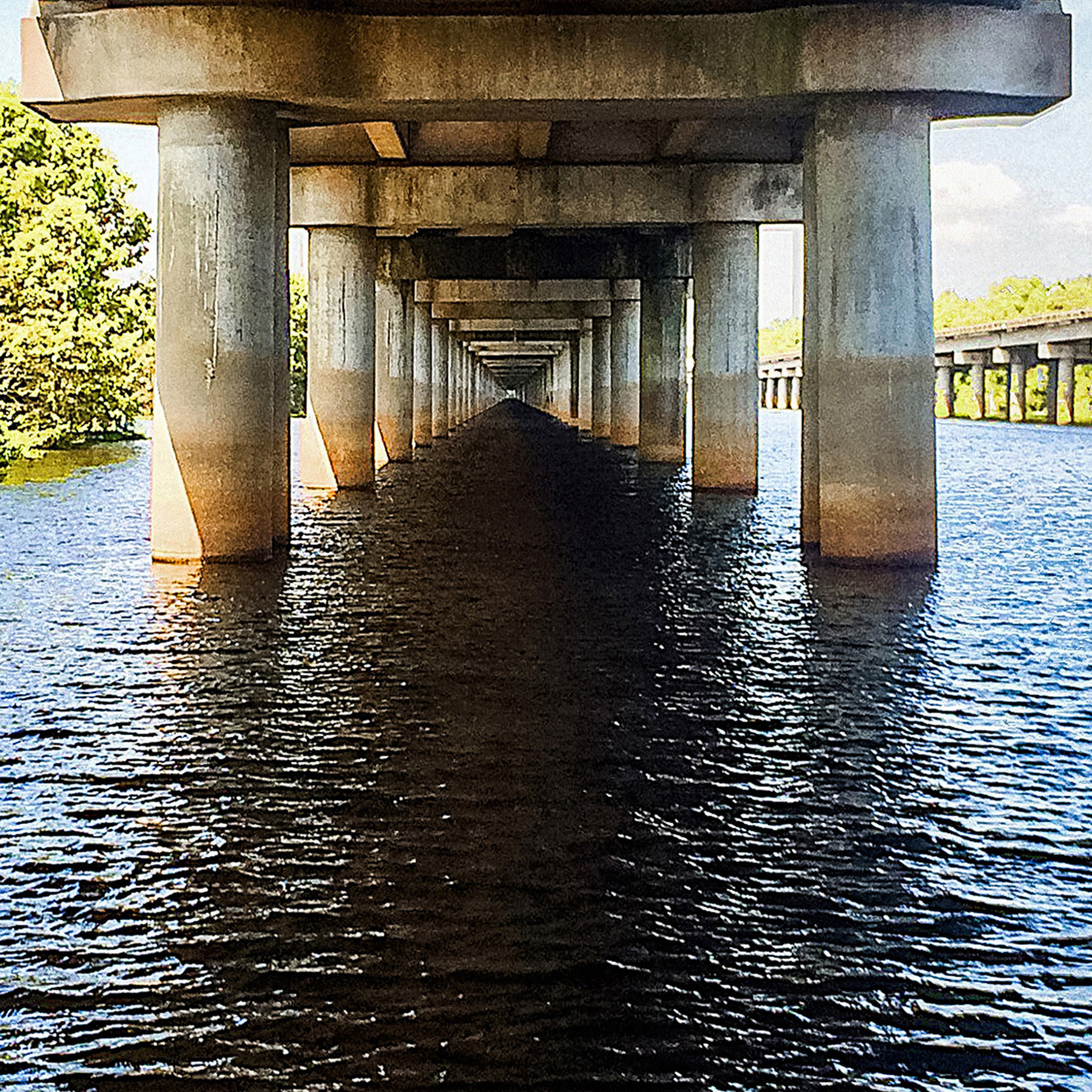 DFA Weeks Island - Droste