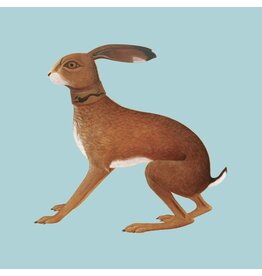 Fat Cat Records Vashti Bunyan - Lookaftering (Expanded Edition)