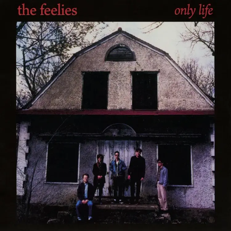 Integral The Feelies - Only Life (Red Vinyl)