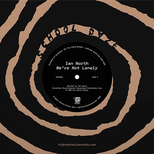 School Daze Ian North / John Howard - All The Young Droids: Junk Shop Sampler (RSD25)