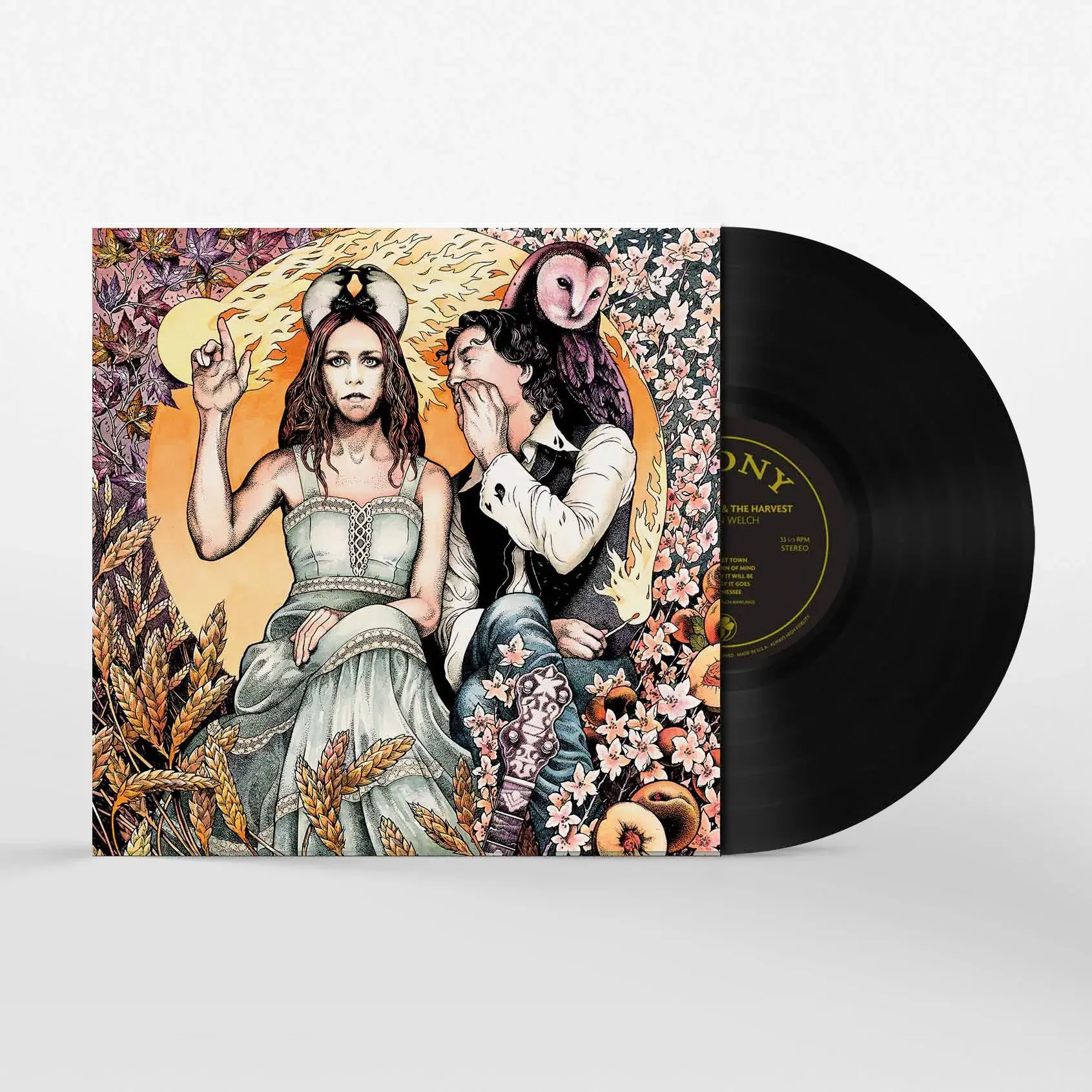 Acony Records Gillian Welch - The Harrow & The Harvest