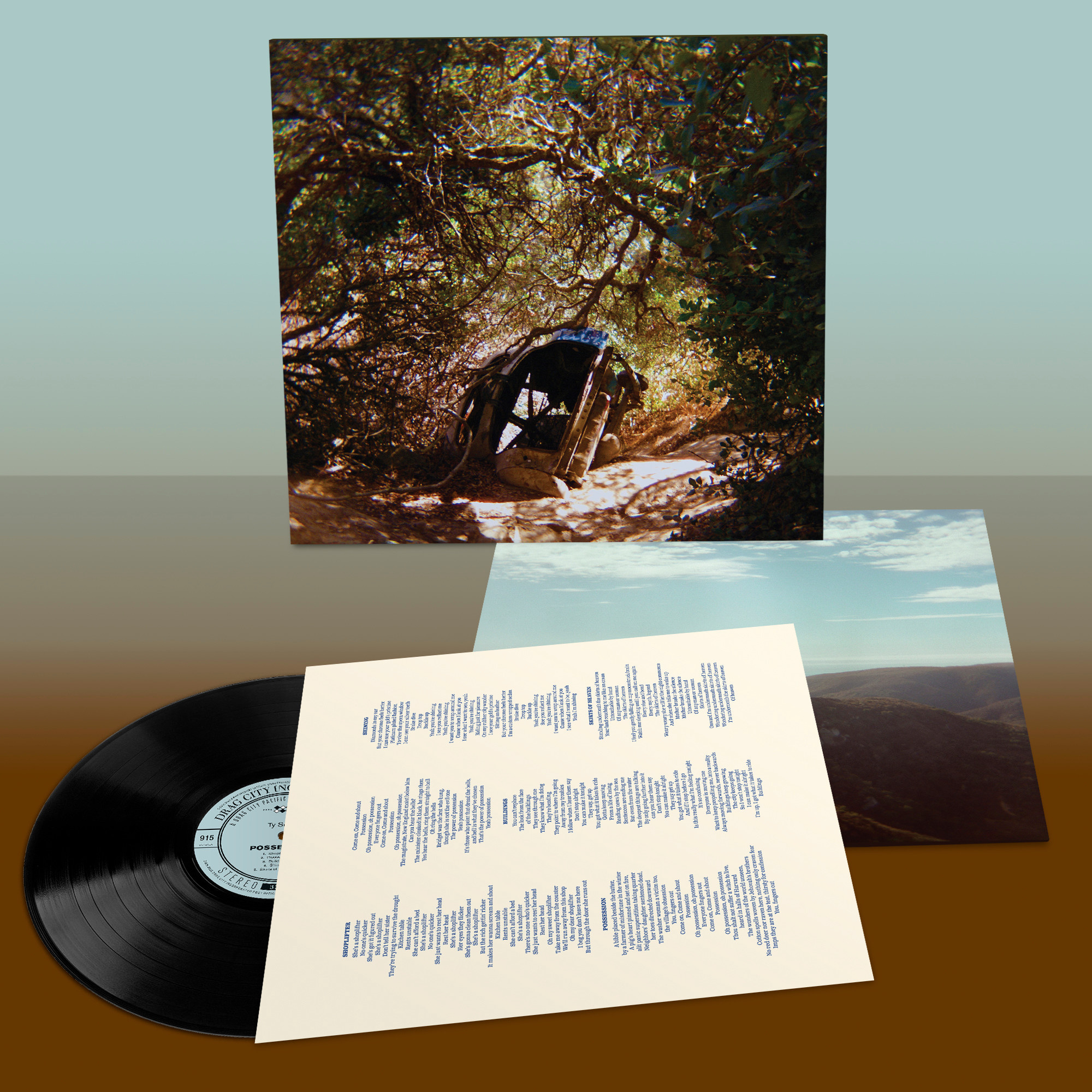 Drag City Ty Segall - Possession