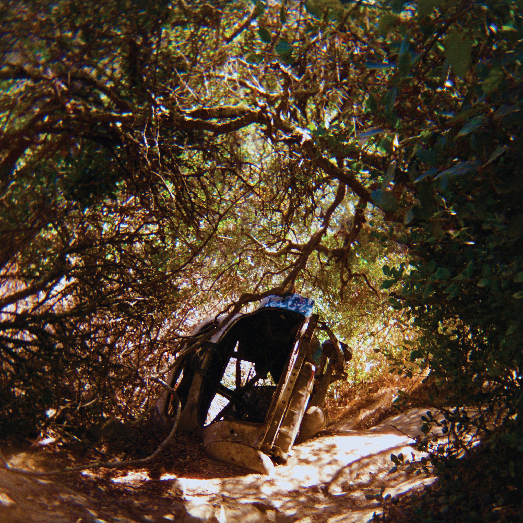 Drag City Ty Segall - Possession (Cassette)