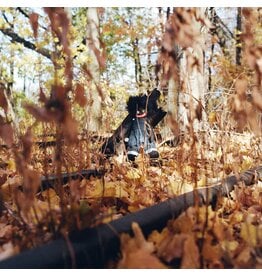 Rhymesayers billy woods - GOLLIWOG