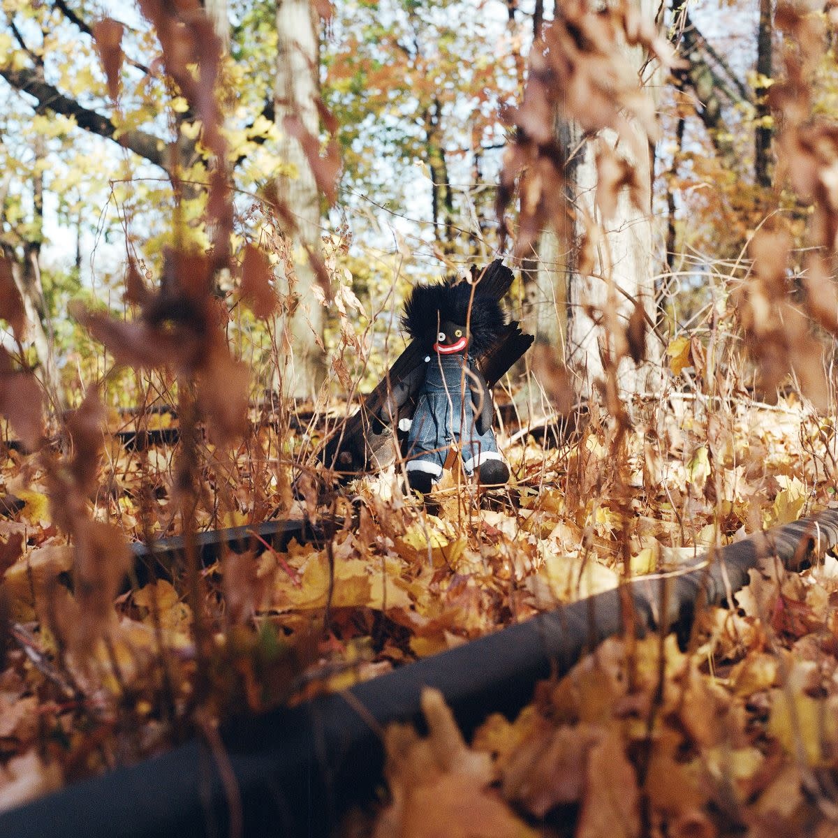 Rhymesayers billy woods - GOLLIWOG