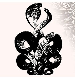 Fire Records Bardo Pond - Volume 4 & 5