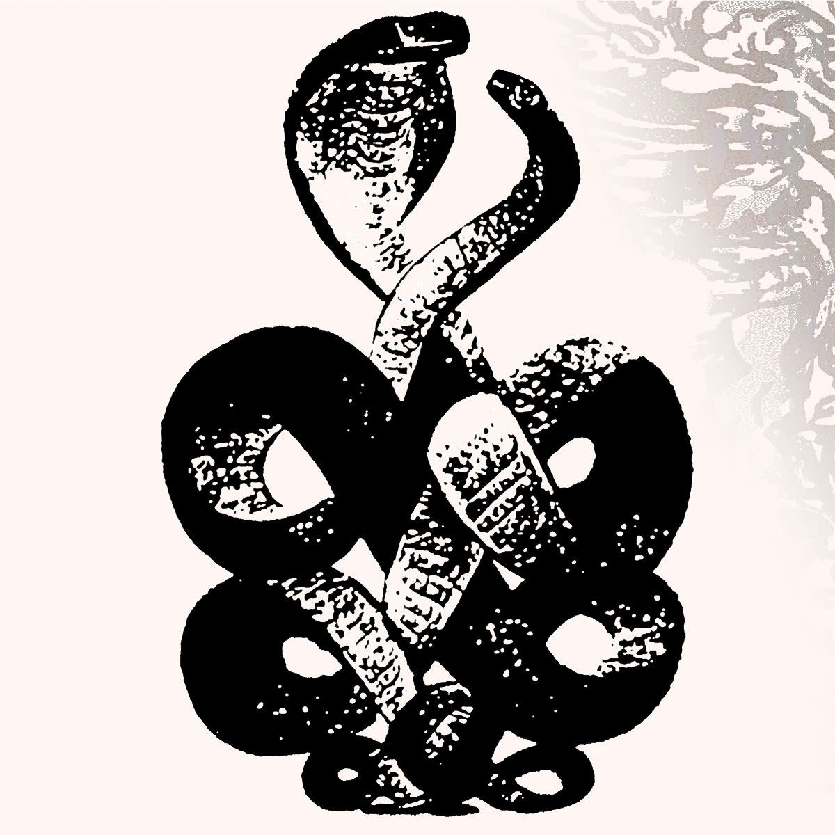 Fire Records Bardo Pond - Volume 4 & 5