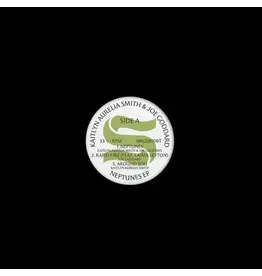 Domino Records Kaitlyn Aurelia-Smith & Joe Goddard - Neptunes