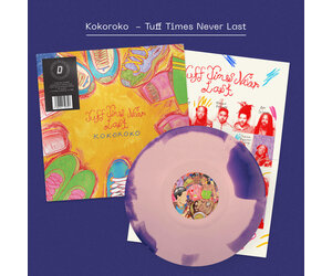 brownswood-recordings-signed-