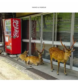 Vainio & Vigroux - Peau Froide, Leger Soleil