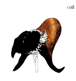 DAIS Coil - Black Antlers