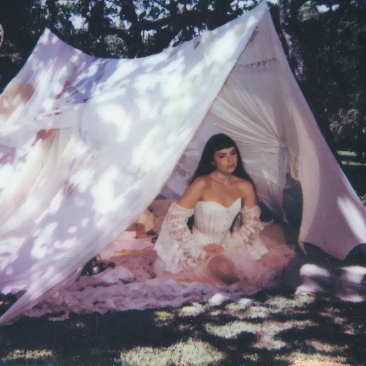 Mr Bongo Julia Mestre - Maravilhosamente Bem