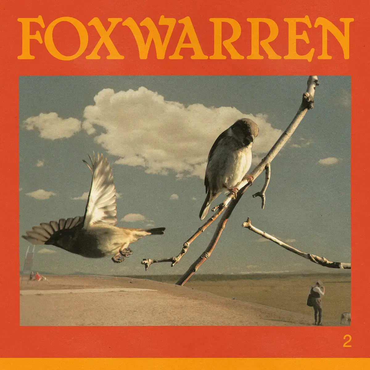 Anti Records Foxwarren - 2