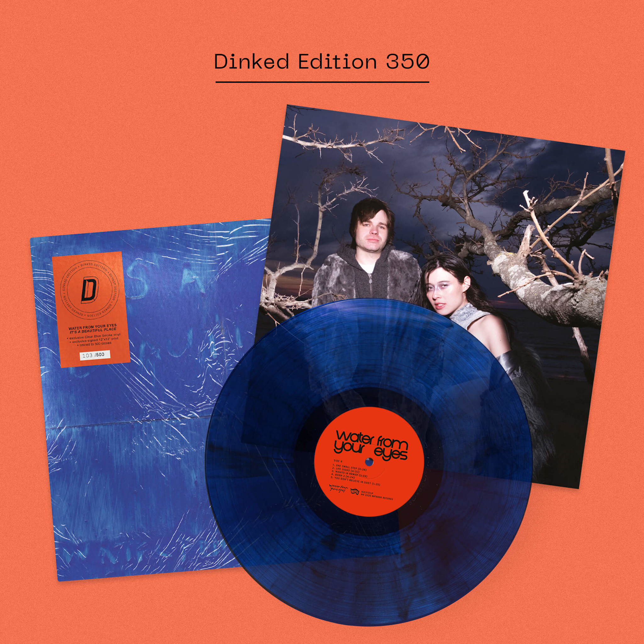 Matador Records SIGNED Water From Your Eyes - It’s A Beautiful Place (Dinked Edition)