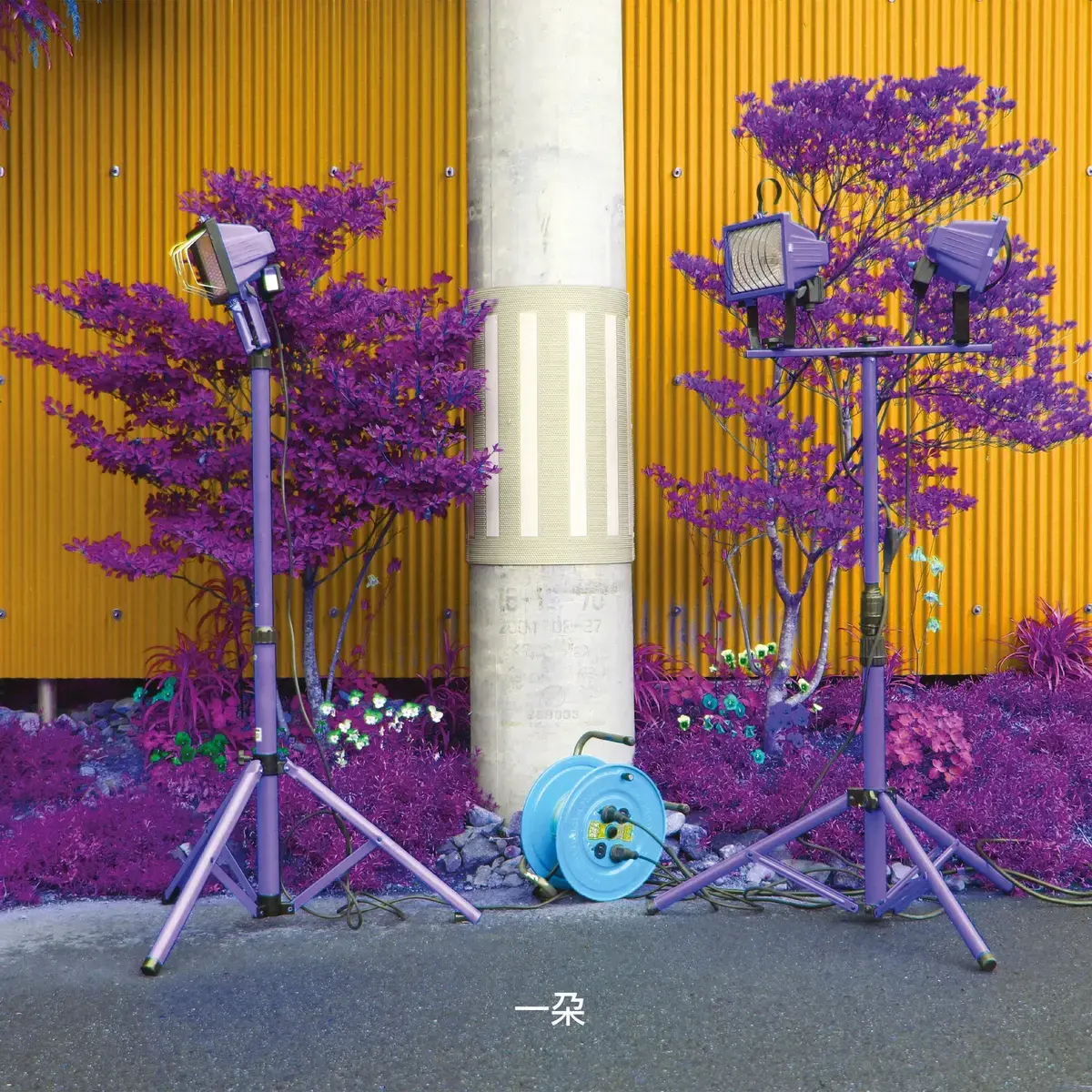 Black Truffle Eiko Ishibashi and Darin Grey - Ichida