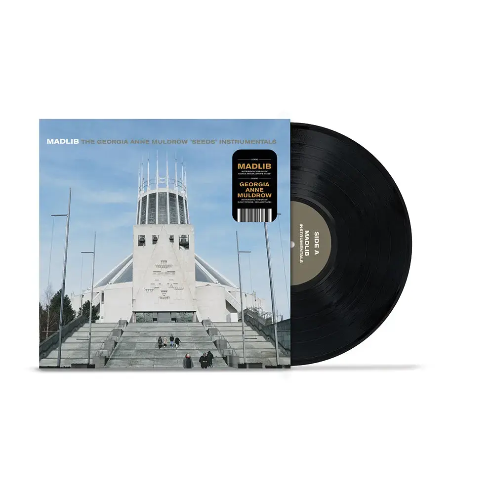 Someothaship Connect Madlib - The Georgia Anne Muldrow "Seeds" Instrumentals