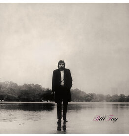 Endless Happiness Bill Fay - Bill Fay