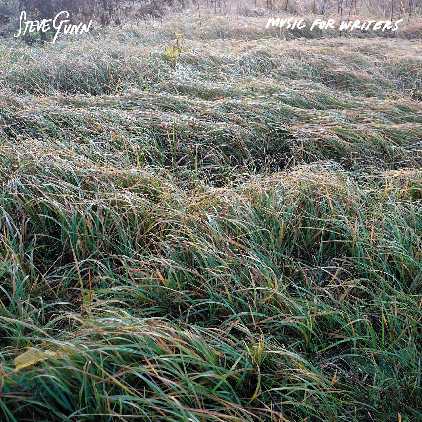 Three Lobed Recordings Steve Gunn - Music For Writers (Orange Vinyl)