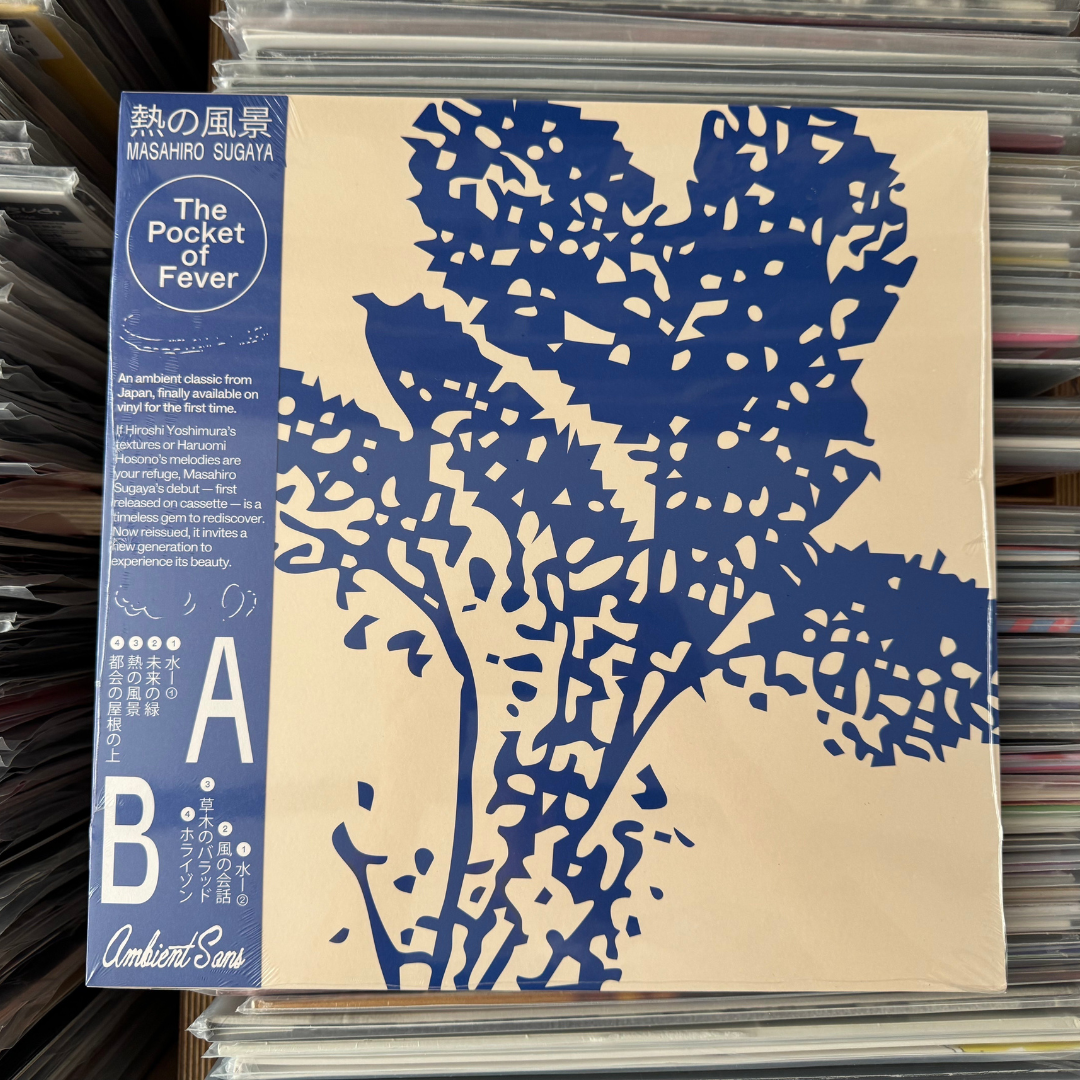 Ambient Sans Masahiro Sugaya - The Pocket Of Fever