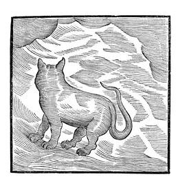 AD 93 Valentina Magaletti & YPY - Kansai Bruises