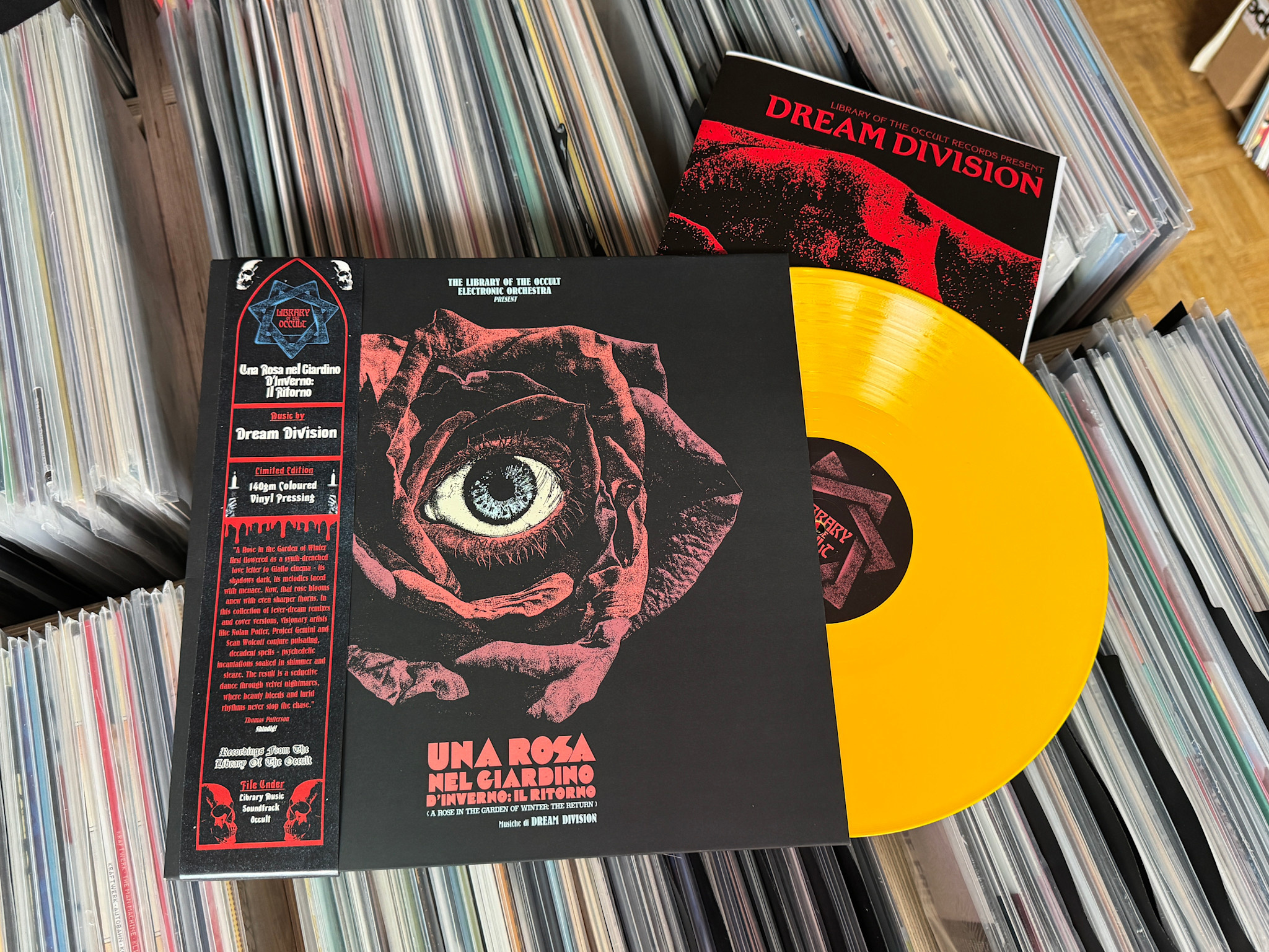 Library Of The Occult Dream Division and the Library of the Occult Electronic Orchestra - Una Rosa nel Giardino d’Inverno: Il Ritorno + POSTER