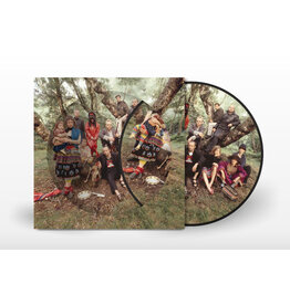 Cashen Gap Current 93 - Earth Covers Earth (Picture Disc)