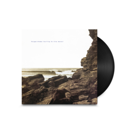 Warp Records Polygon Window - Surfing On Sine Waves (Expanded Edition)