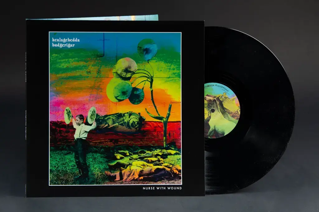 The state51 Conspiracy Nurse With Wound - HEALSGEBEDDA BUDGERIGAR