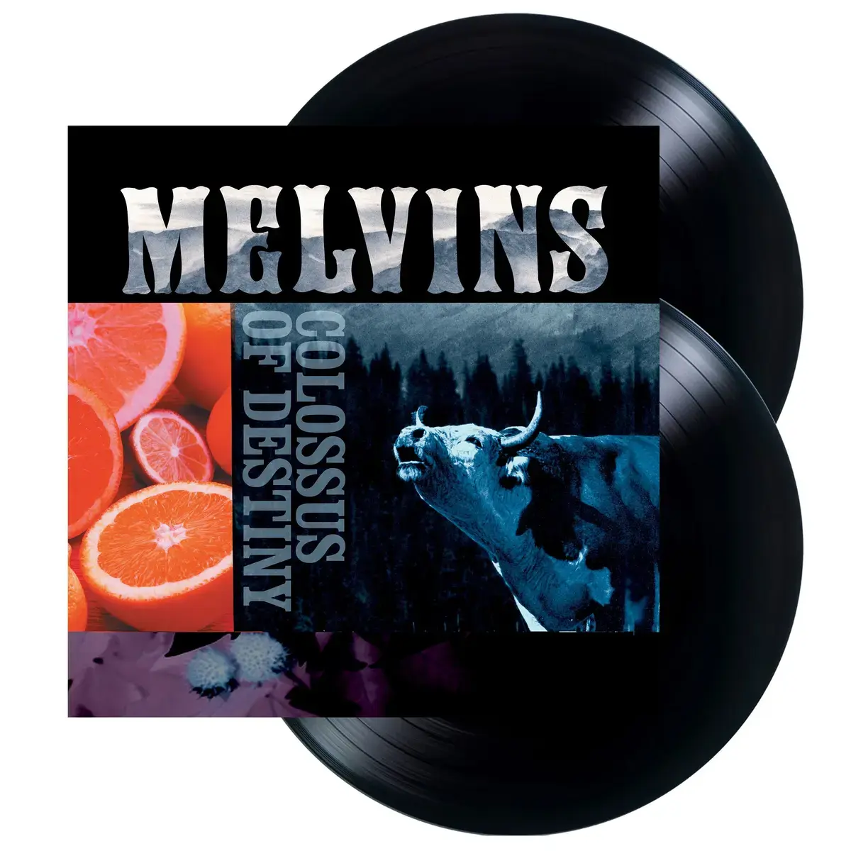Ipecac Recordings Melvins - Colossus of Destiny